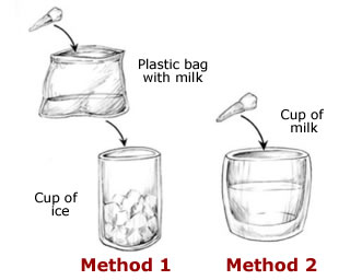 First Aid - Tooth - Transport in Milk