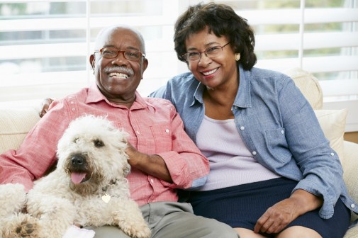 How pets can boost owner’s health