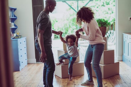 How many bugs are living in your home?